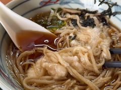 -白川乡手打荞麦面
