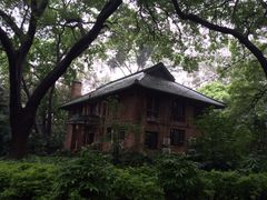 -中山大学学者灵芝(园南路店)