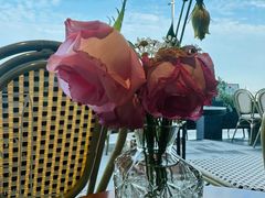 -安琳acKONA咖啡(极地店)