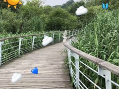 -西湖风景区-江洋畈生态公园