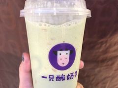 -一只酸奶牛(八一路店)
