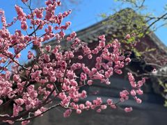 -颐和园
