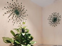 -黑松白鹿(崇文门新活馆店)