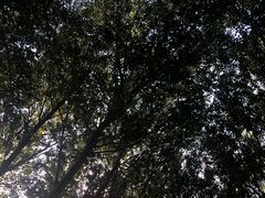 -长春公园(普阳街道)