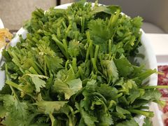 香菜-潮汕大目牛肉火锅(上梅林店)