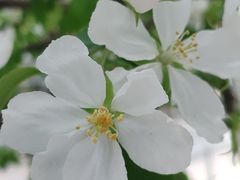 -东升八家郊野公园