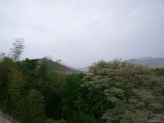 -塔川景区