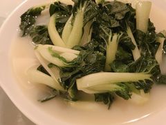 浓汤奶白菜-春满园·早茶·粤菜·宴会(喜宴店)