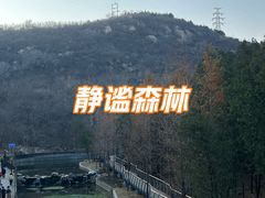 -白水寺森林公园