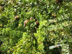 -西安外国语大学(长安校区)