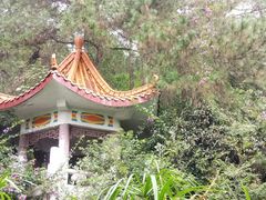 -铁山坪森林公园