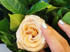 -长沙富力万达文华酒店