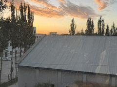 -青藏高原野生动物园