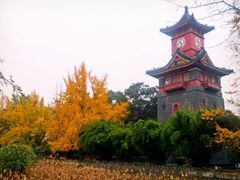 -四川大学(华西校区)