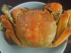-喜洋洋蟹庄(阳澄湖店)