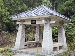 -旗岭森林公园