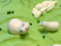 -CAKE BOSS 蛋糕老板(北京世纪金源购物中心)