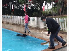 -良成狗狗乐园