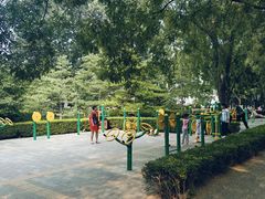 -莲花池公园