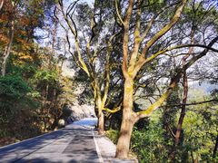 -南岳衡山风景名胜区