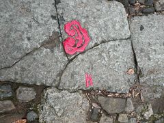 -西湖风景区十里琅珰-五云山