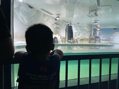 -北戴河圣蓝海洋公园