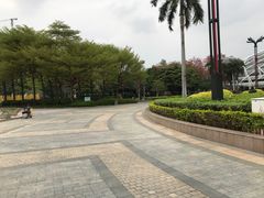 -文华公园(禅城区)