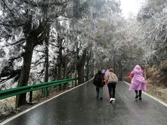 -南岳衡山风景名胜区