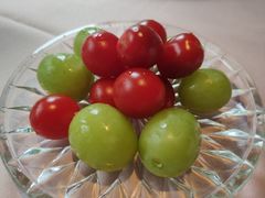 -芙蓉堂(武汉天地店)