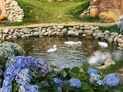 -HERRE·FARM 赫尔露营农场·团建聚会包场