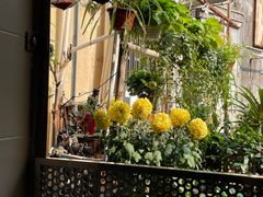 -义顺牛奶公司(新马路老店)
