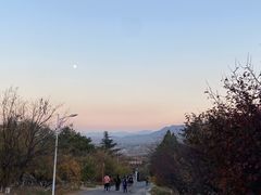 -北京鹫峰国家森林公园