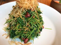 巧拌豆苗-四季民福烤鸭店(前门廊房二条店)