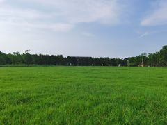 -柳鹭田园区