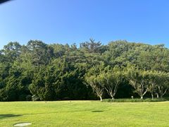 -棒棰岛宾馆景区