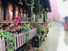 -乌镇东栅景区