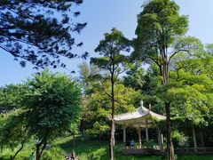 -广州雕塑公园