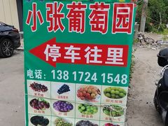 -马陆小张葡萄园农家乐