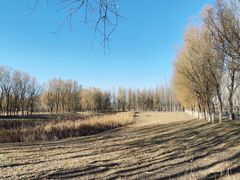 -东郊湿地公园