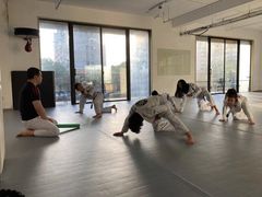 -EFL巴西柔术·综合格斗·泰拳·少儿体能训练(虹桥德必馆)