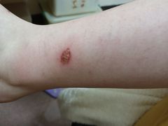 -正佳冰河湾真冰滑冰场