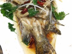 -东北农家饺子村(昌平路店)