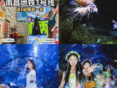 -南昌海洋公园