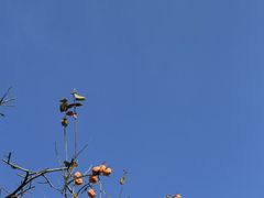 -北京石刻艺术博物馆(五塔寺)