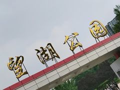 -望湖公园