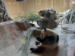 -宁波野生动物园