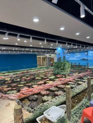 -钓虾工场·钓虾·赶海(回龙观店)