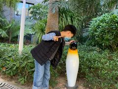 -帝企鹅自助餐厅•儿童岛•真企鹅(长隆企鹅酒店)