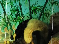 -济南野生动物世界