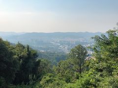 -火炉山森林公园